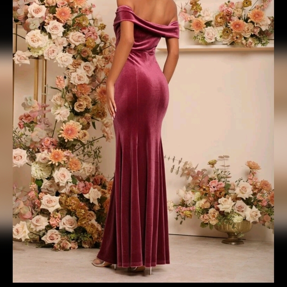 Velvet Maxi Dress - Picture 2 of 6